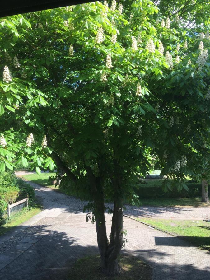 Ferienwohnung Kastanienblick Oder Parkblick, Oder Unser Radlerzimmer! Ziethen  Εξωτερικό φωτογραφία