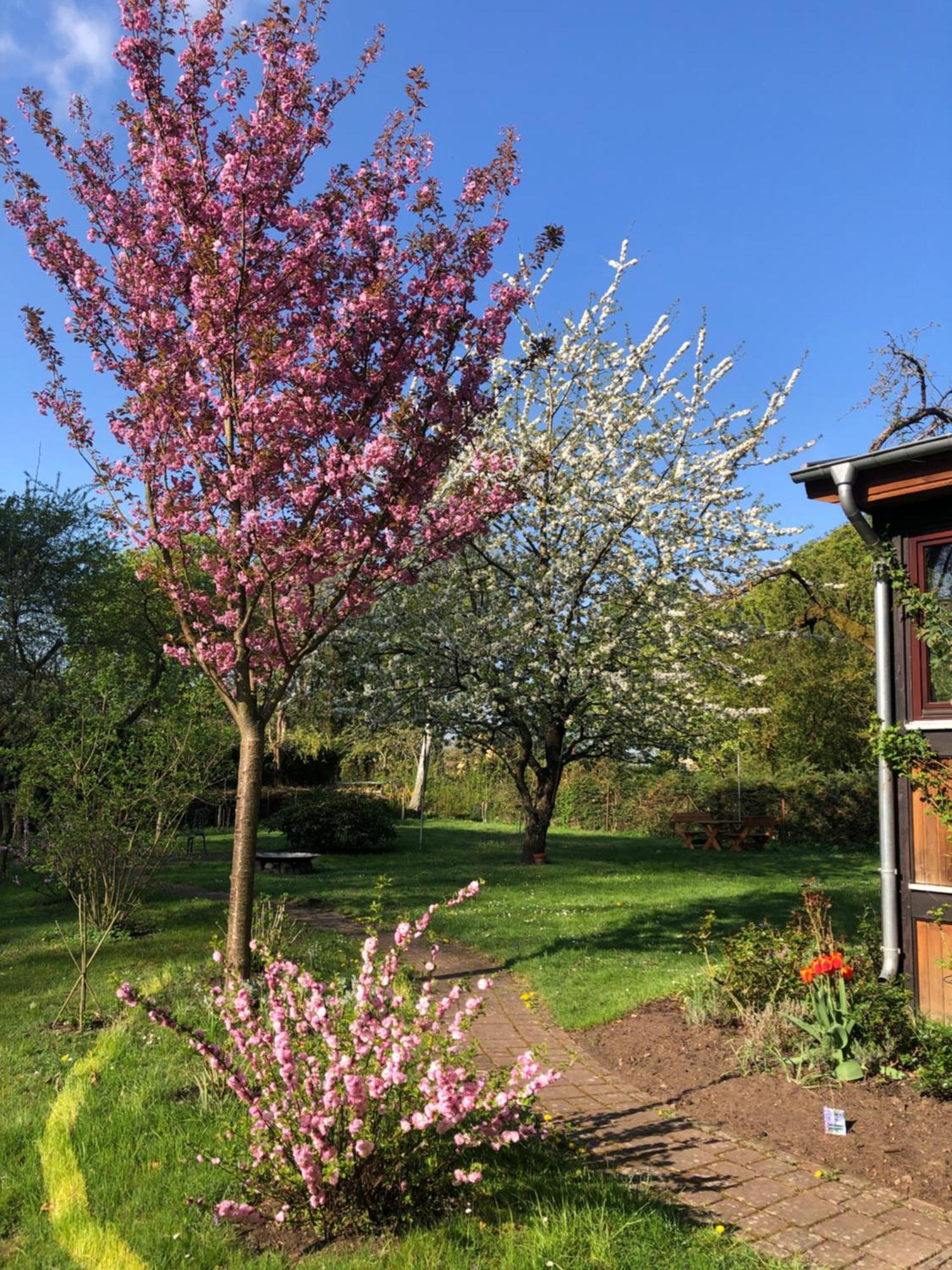 Ferienwohnung Kastanienblick Oder Parkblick, Oder Unser Radlerzimmer! Ziethen  Εξωτερικό φωτογραφία